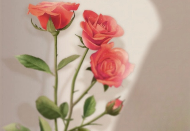 祝天下女神們節(jié)日快樂?。?！